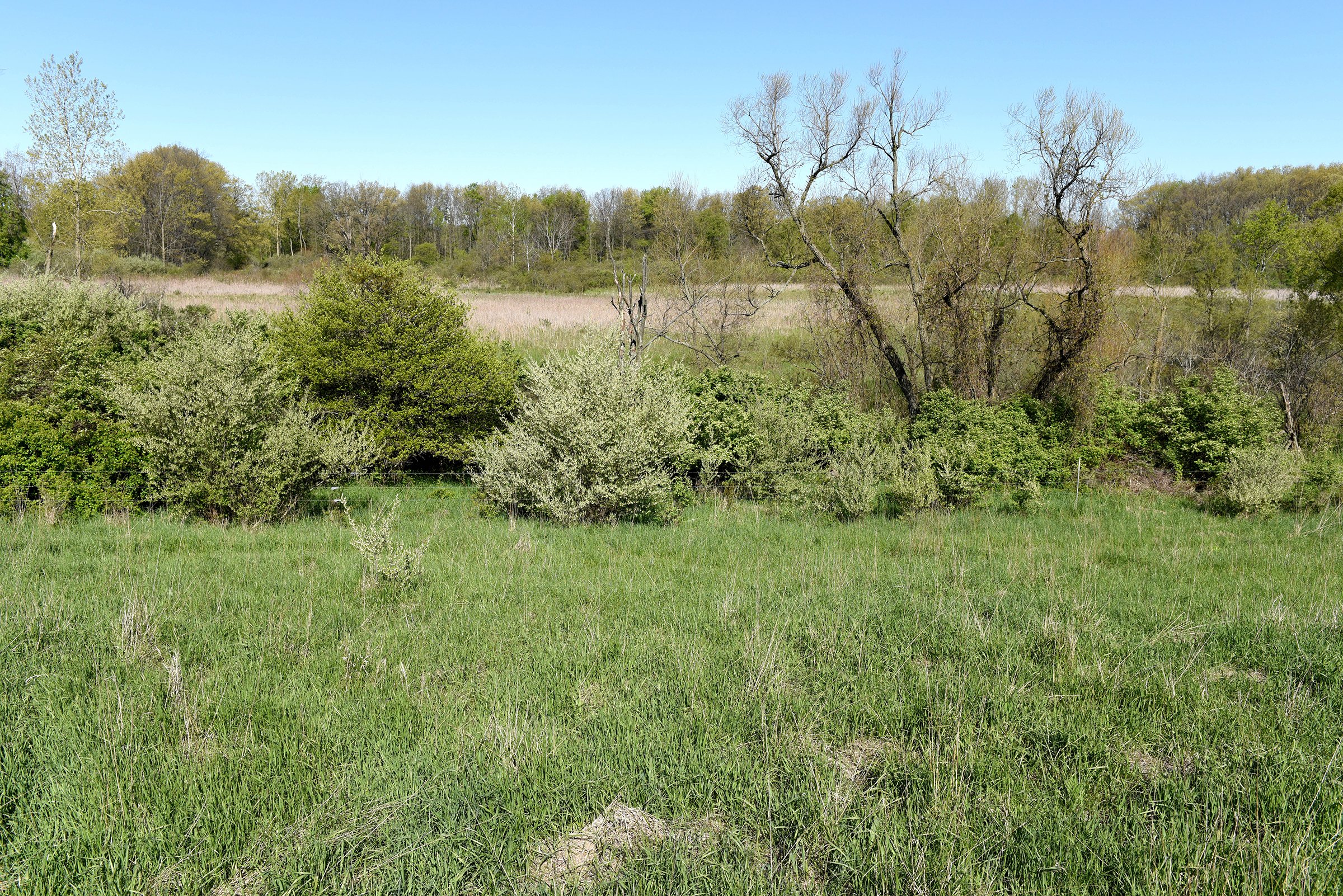 Property photo 48 - ONCE IN A LIFETIME OPPORTUNITY AUCTION - 183+/- ACRES IN 27 TRACTS IN BRANCH COUNTY, MICHIGAN
