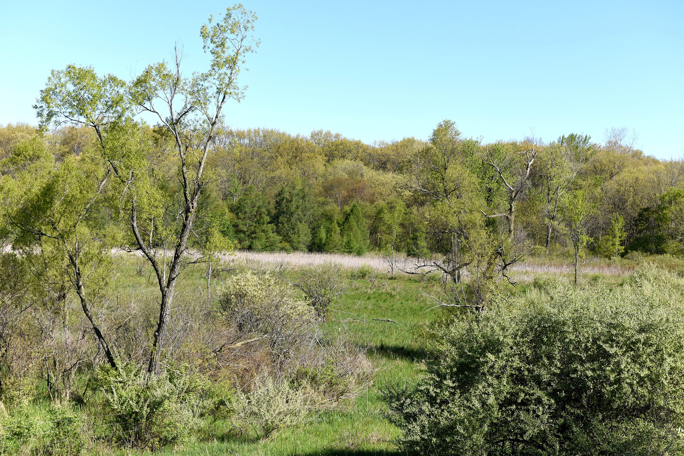 Property photo 50 - ONCE IN A LIFETIME OPPORTUNITY AUCTION - 183+/- ACRES IN 27 TRACTS IN BRANCH COUNTY, MICHIGAN