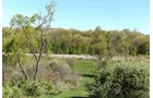 Property photo 50 - ONCE IN A LIFETIME OPPORTUNITY AUCTION - 183+/- ACRES IN 27 TRACTS IN BRANCH COUNTY, MICHIGAN