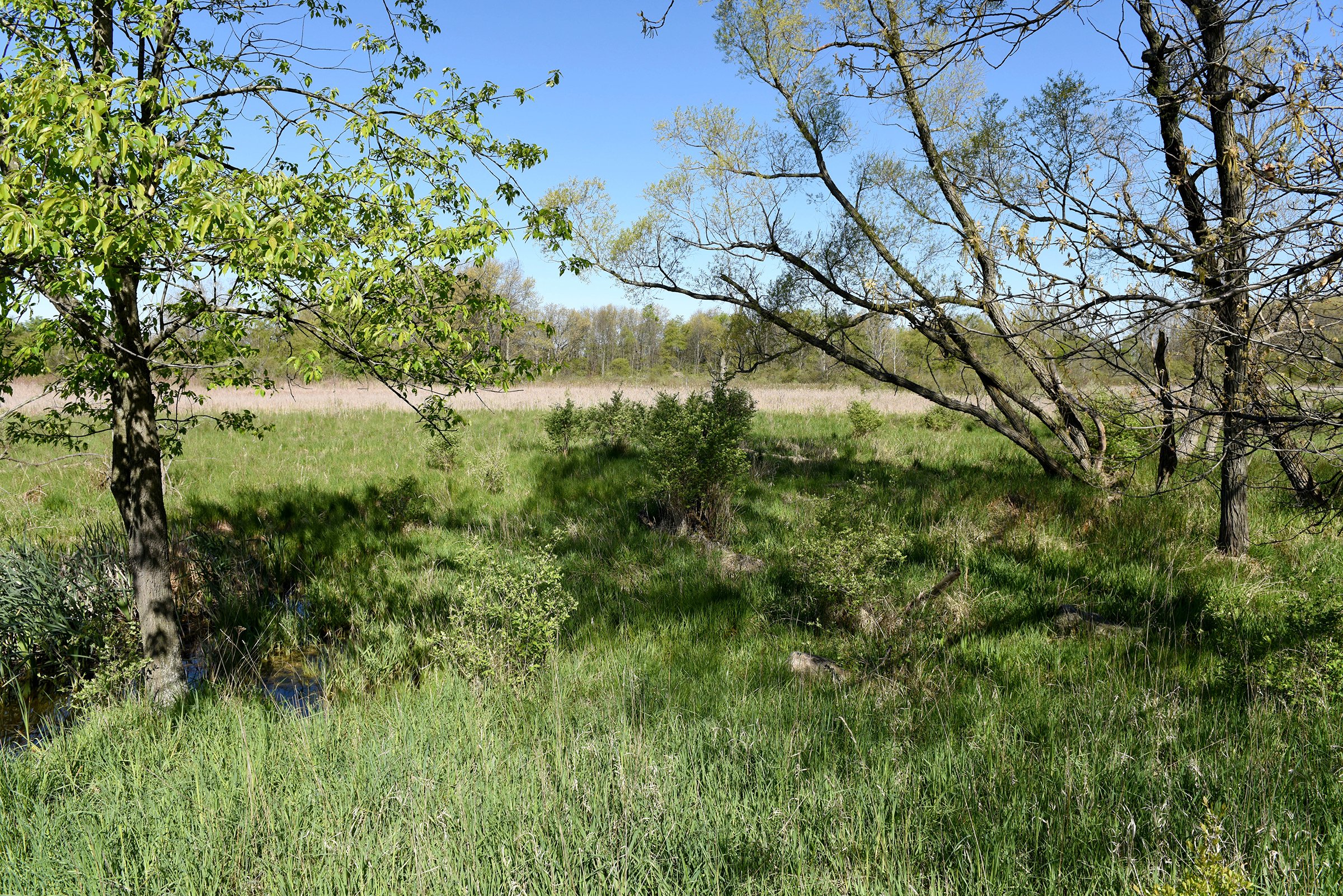 Property photo 49 - ONCE IN A LIFETIME OPPORTUNITY AUCTION - 183+/- ACRES IN 27 TRACTS IN BRANCH COUNTY, MICHIGAN