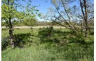 Property photo 49 - ONCE IN A LIFETIME OPPORTUNITY AUCTION - 183+/- ACRES IN 27 TRACTS IN BRANCH COUNTY, MICHIGAN