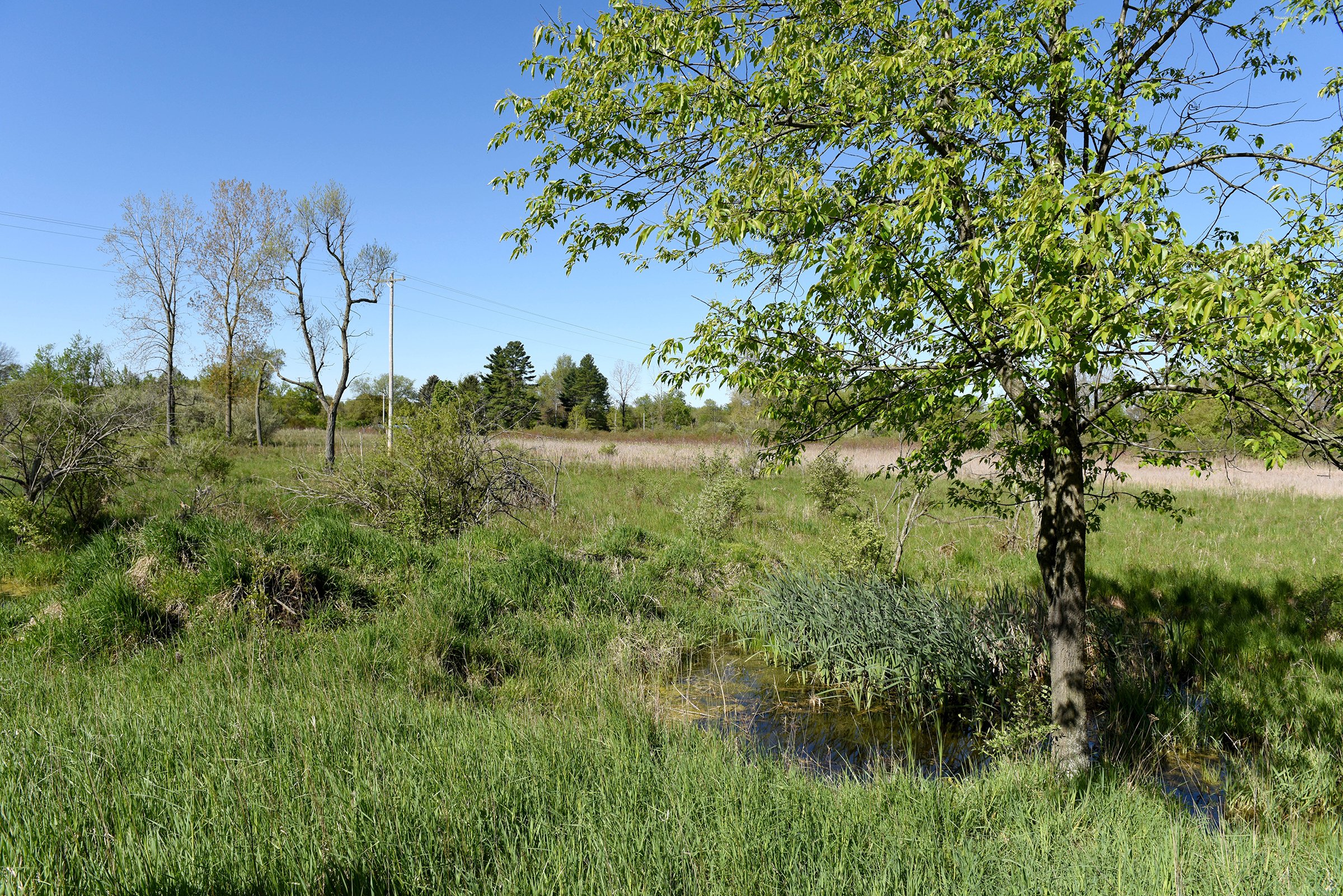 Property photo 47 - ONCE IN A LIFETIME OPPORTUNITY AUCTION - 183+/- ACRES IN 27 TRACTS IN BRANCH COUNTY, MICHIGAN