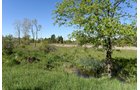 Property photo 47 - ONCE IN A LIFETIME OPPORTUNITY AUCTION - 183+/- ACRES IN 27 TRACTS IN BRANCH COUNTY, MICHIGAN