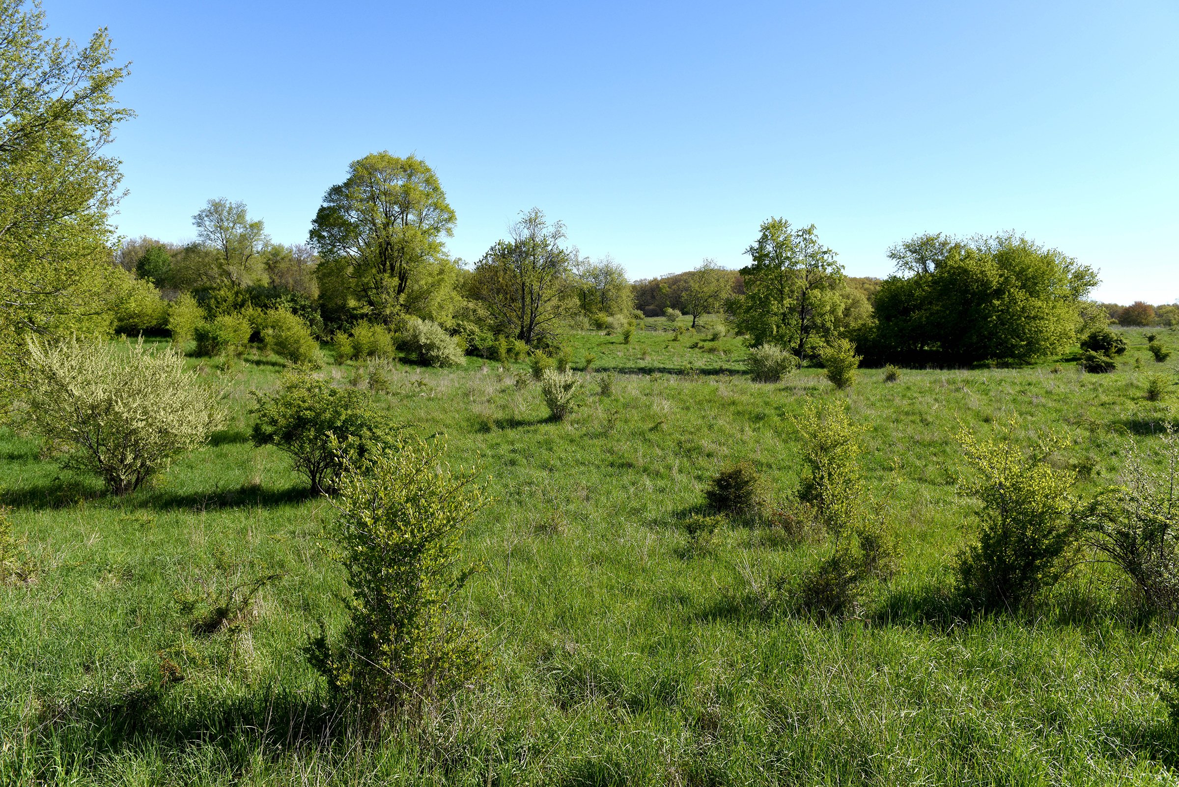 Property photo 45 - ONCE IN A LIFETIME OPPORTUNITY AUCTION - 183+/- ACRES IN 27 TRACTS IN BRANCH COUNTY, MICHIGAN