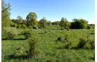 Property photo 45 - ONCE IN A LIFETIME OPPORTUNITY AUCTION - 183+/- ACRES IN 27 TRACTS IN BRANCH COUNTY, MICHIGAN