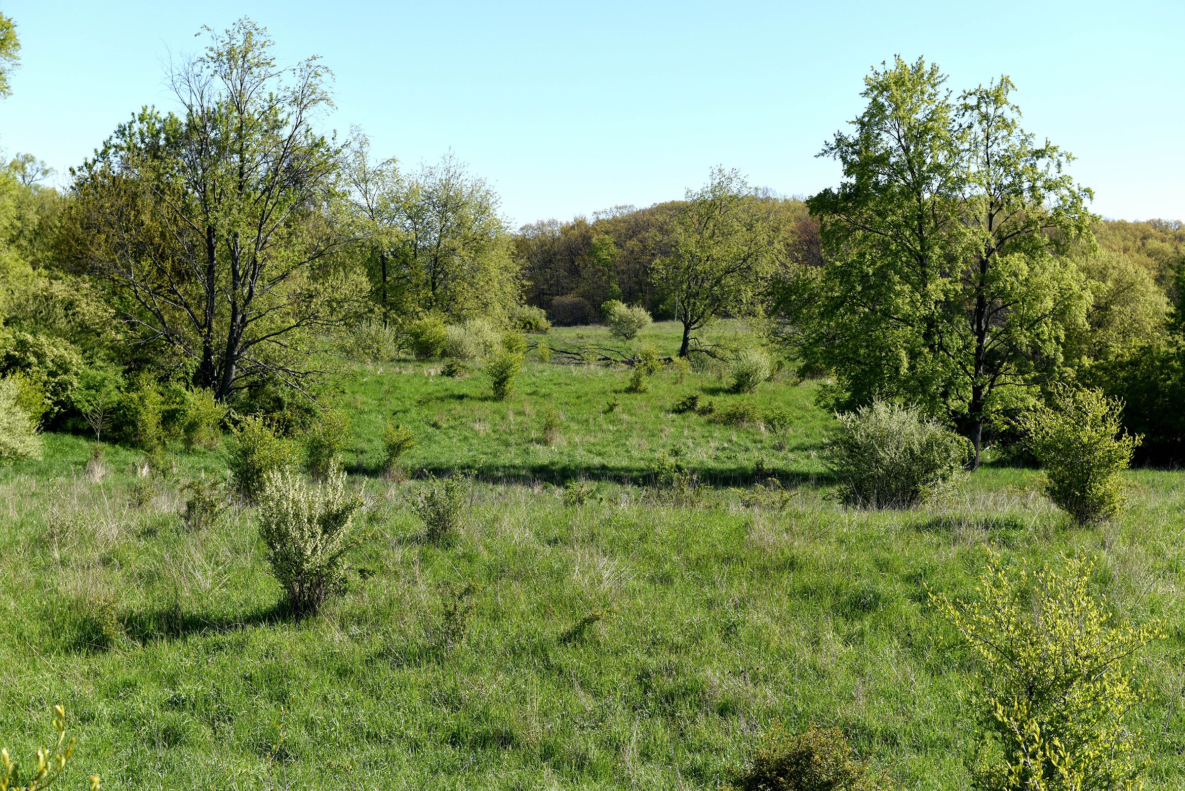 Property photo 46 - ONCE IN A LIFETIME OPPORTUNITY AUCTION - 183+/- ACRES IN 27 TRACTS IN BRANCH COUNTY, MICHIGAN