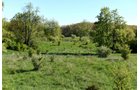 Property photo 46 - ONCE IN A LIFETIME OPPORTUNITY AUCTION - 183+/- ACRES IN 27 TRACTS IN BRANCH COUNTY, MICHIGAN