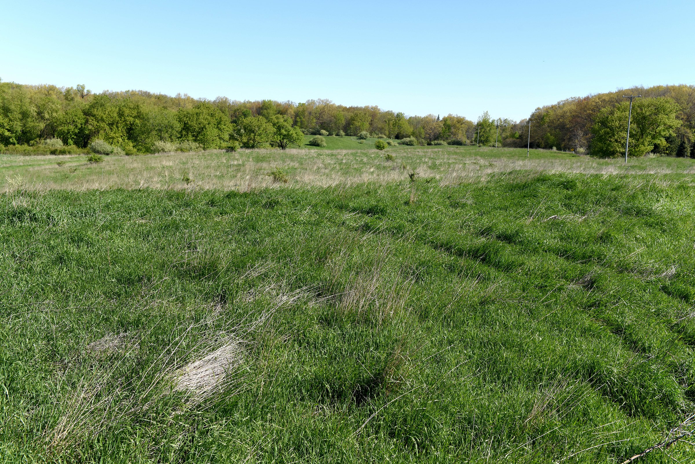 Property photo 34 - ONCE IN A LIFETIME OPPORTUNITY AUCTION - 183+/- ACRES IN 27 TRACTS IN BRANCH COUNTY, MICHIGAN