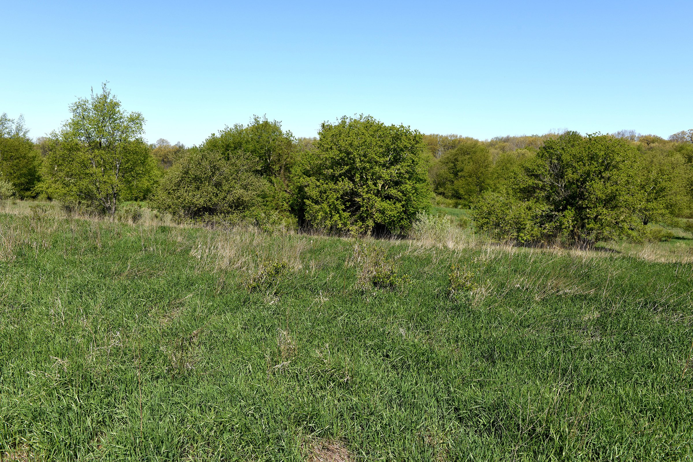Property photo 38 - ONCE IN A LIFETIME OPPORTUNITY AUCTION - 183+/- ACRES IN 27 TRACTS IN BRANCH COUNTY, MICHIGAN