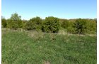 Property photo 38 - ONCE IN A LIFETIME OPPORTUNITY AUCTION - 183+/- ACRES IN 27 TRACTS IN BRANCH COUNTY, MICHIGAN