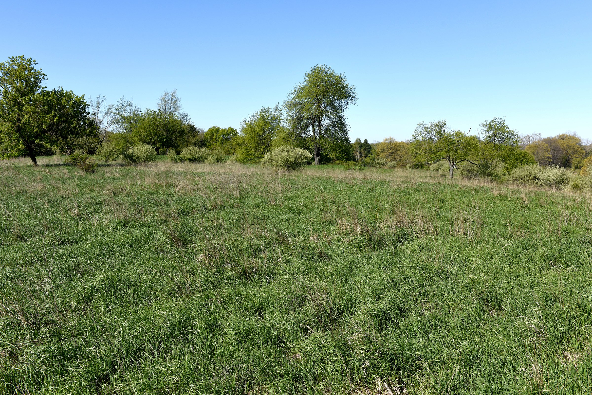Property photo 36 - ONCE IN A LIFETIME OPPORTUNITY AUCTION - 183+/- ACRES IN 27 TRACTS IN BRANCH COUNTY, MICHIGAN
