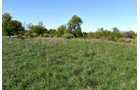 Property photo 36 - ONCE IN A LIFETIME OPPORTUNITY AUCTION - 183+/- ACRES IN 27 TRACTS IN BRANCH COUNTY, MICHIGAN