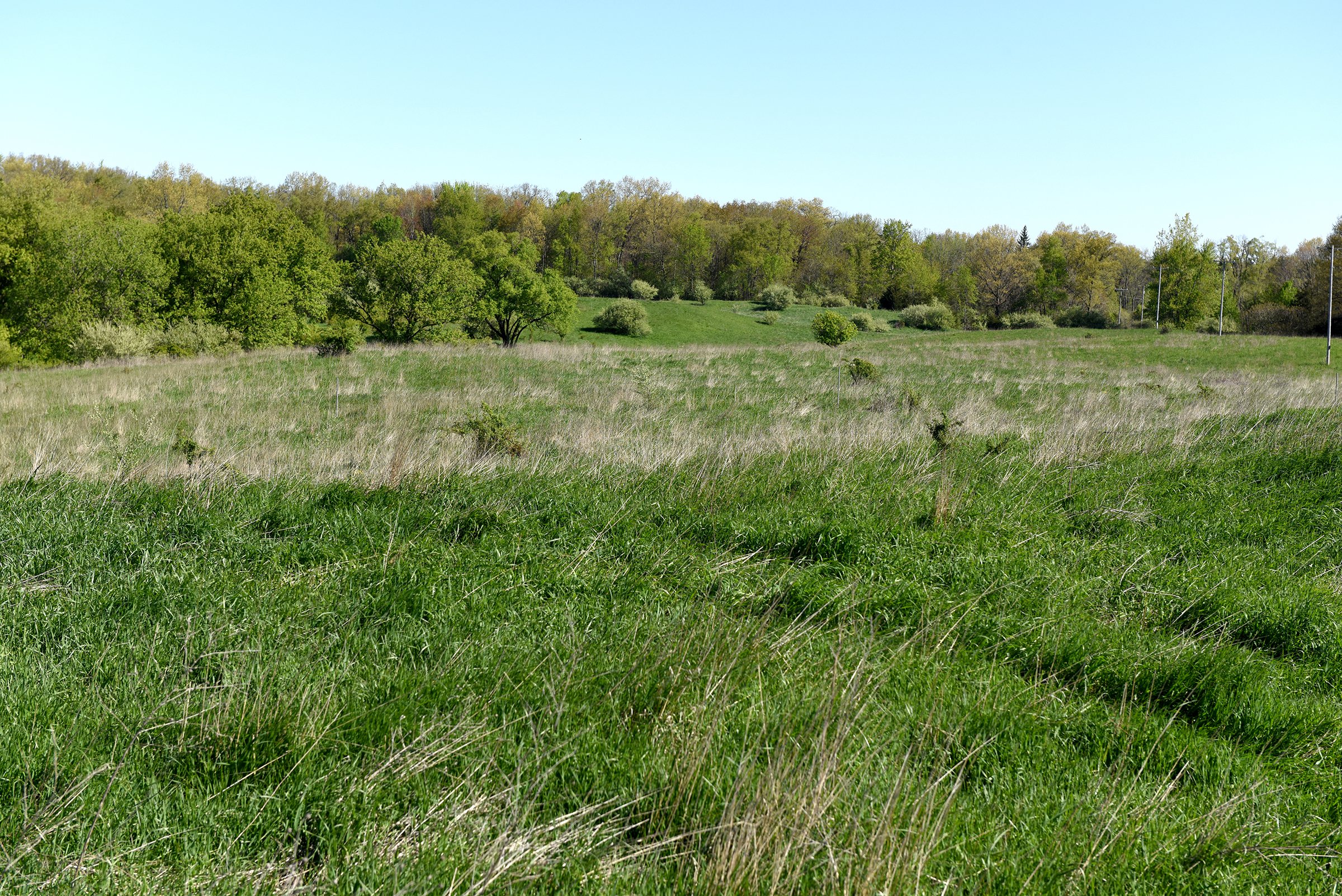 Property photo 40 - ONCE IN A LIFETIME OPPORTUNITY AUCTION - 183+/- ACRES IN 27 TRACTS IN BRANCH COUNTY, MICHIGAN