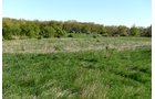 Property photo 40 - ONCE IN A LIFETIME OPPORTUNITY AUCTION - 183+/- ACRES IN 27 TRACTS IN BRANCH COUNTY, MICHIGAN