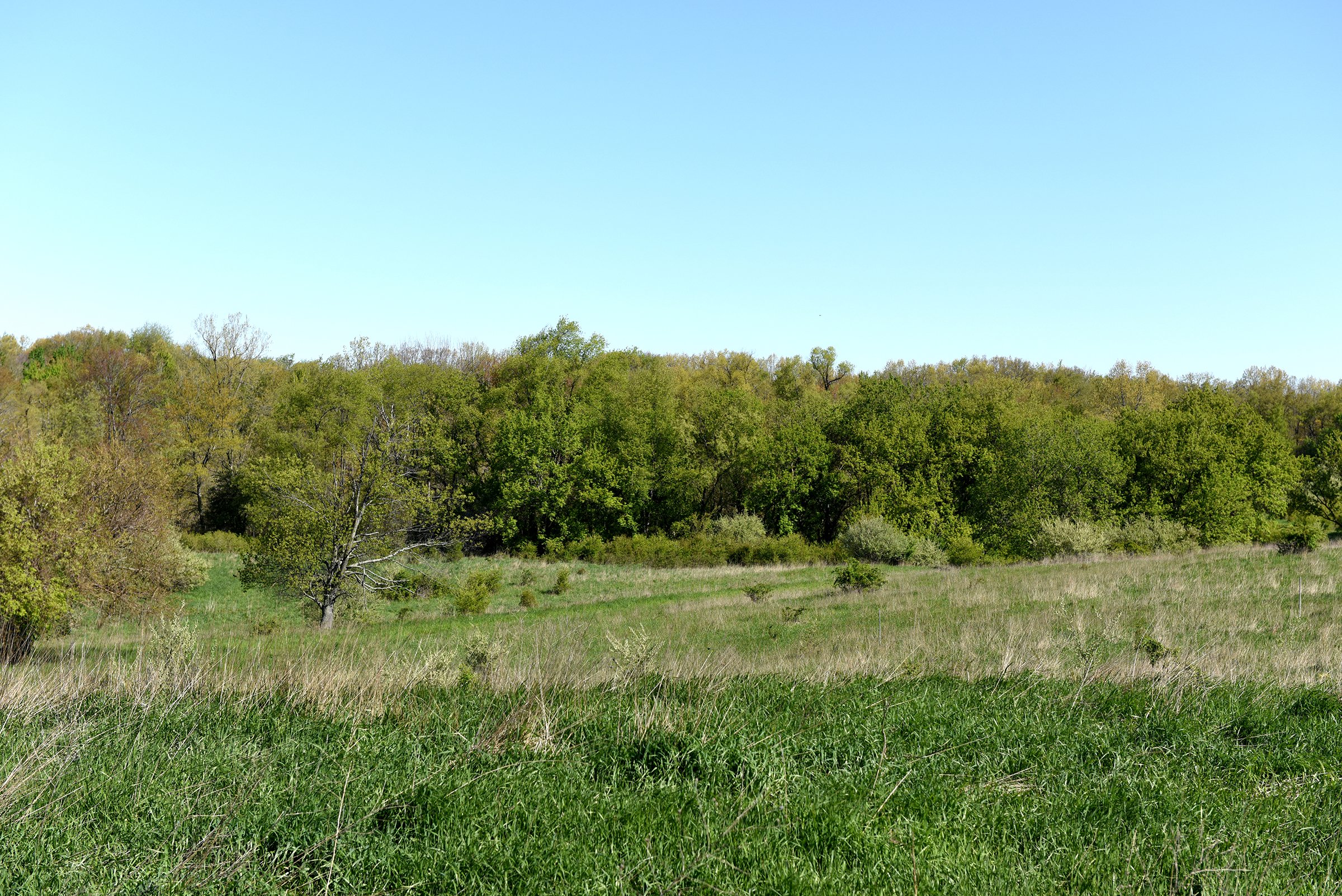 Property photo 32 - ONCE IN A LIFETIME OPPORTUNITY AUCTION - 183+/- ACRES IN 27 TRACTS IN BRANCH COUNTY, MICHIGAN