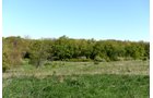 Property photo 32 - ONCE IN A LIFETIME OPPORTUNITY AUCTION - 183+/- ACRES IN 27 TRACTS IN BRANCH COUNTY, MICHIGAN