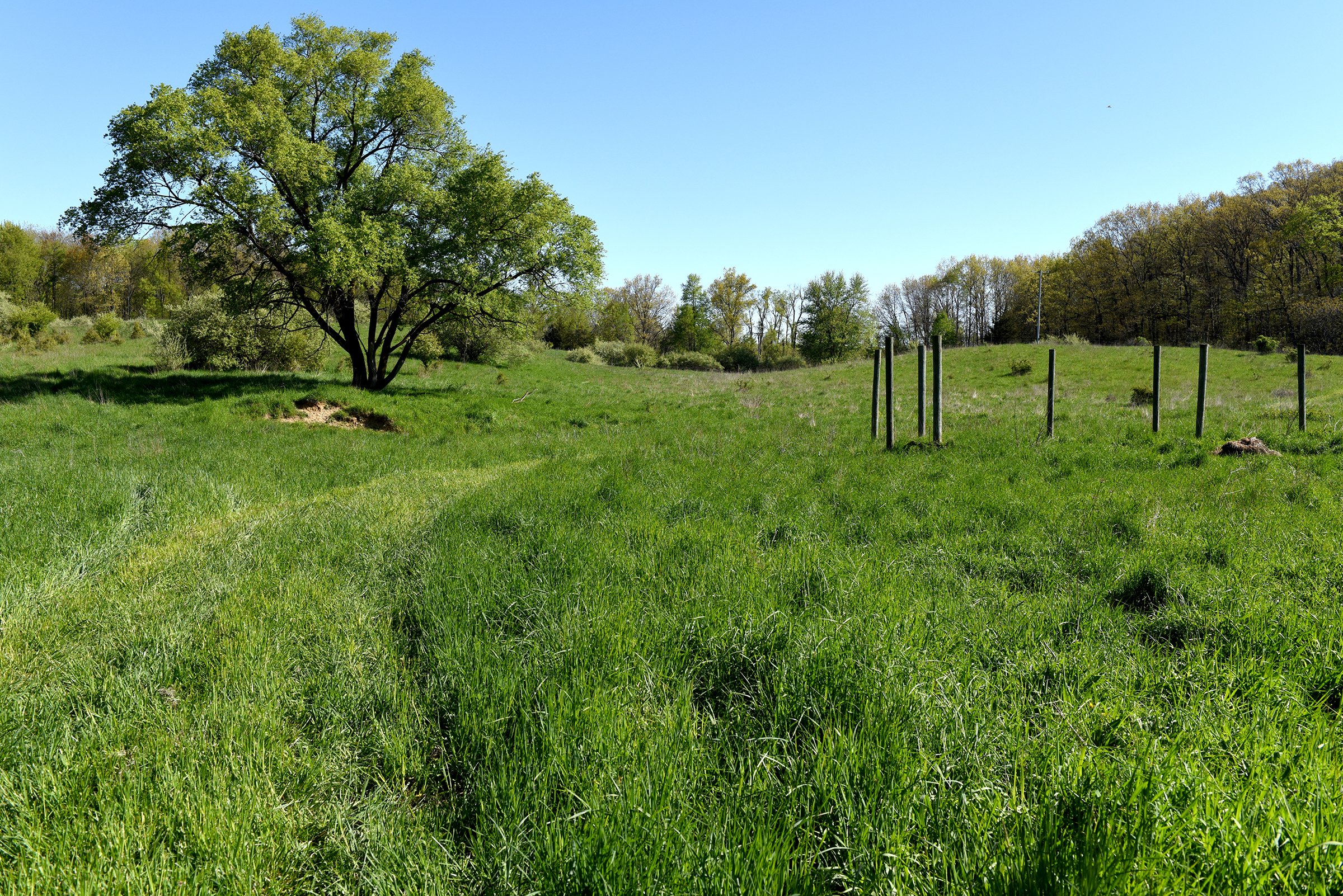 Property photo 39 - ONCE IN A LIFETIME OPPORTUNITY AUCTION - 183+/- ACRES IN 27 TRACTS IN BRANCH COUNTY, MICHIGAN