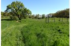 Property photo 39 - ONCE IN A LIFETIME OPPORTUNITY AUCTION - 183+/- ACRES IN 27 TRACTS IN BRANCH COUNTY, MICHIGAN