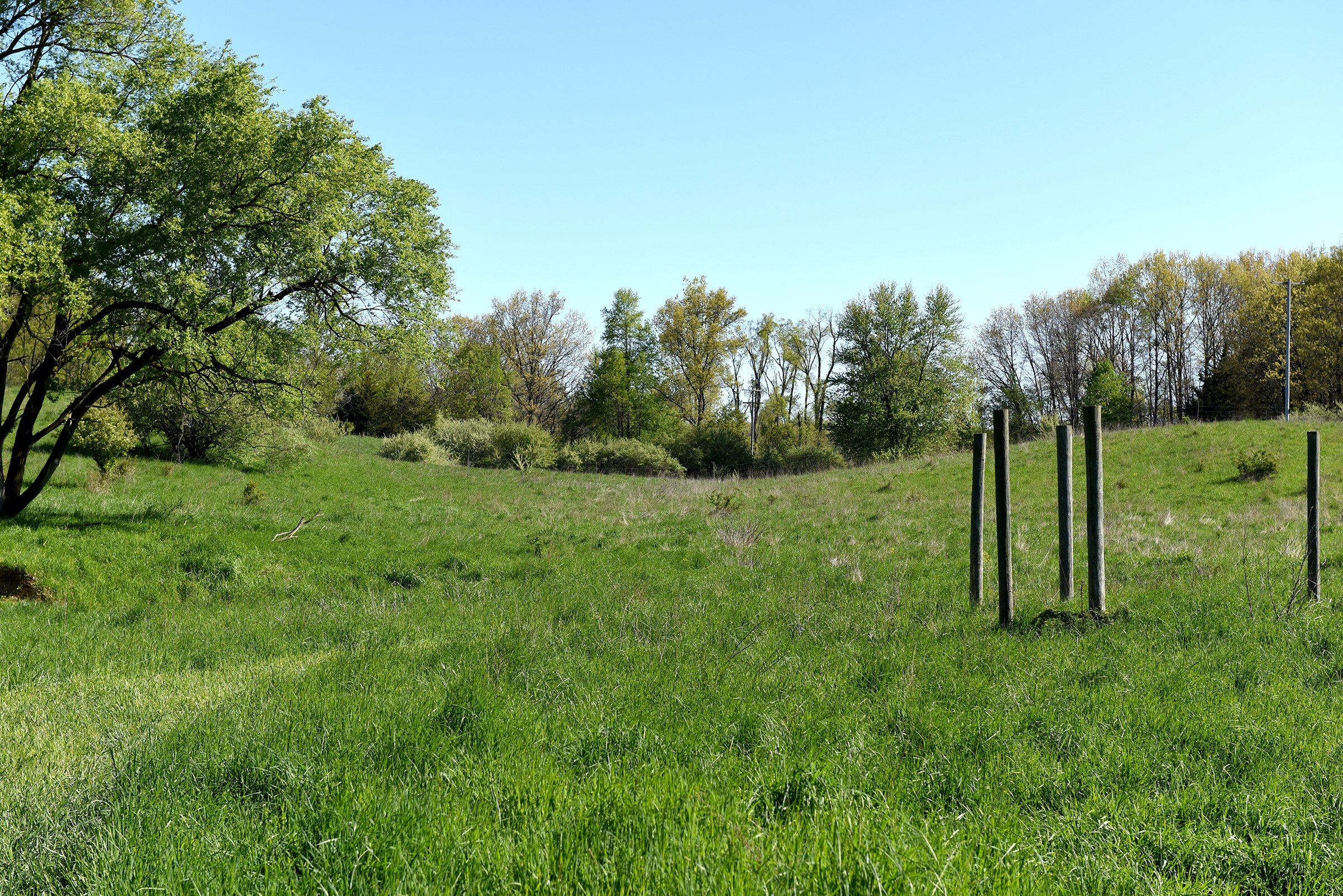 Property photo 41 - ONCE IN A LIFETIME OPPORTUNITY AUCTION - 183+/- ACRES IN 27 TRACTS IN BRANCH COUNTY, MICHIGAN