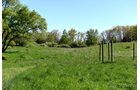 Property photo 41 - ONCE IN A LIFETIME OPPORTUNITY AUCTION - 183+/- ACRES IN 27 TRACTS IN BRANCH COUNTY, MICHIGAN
