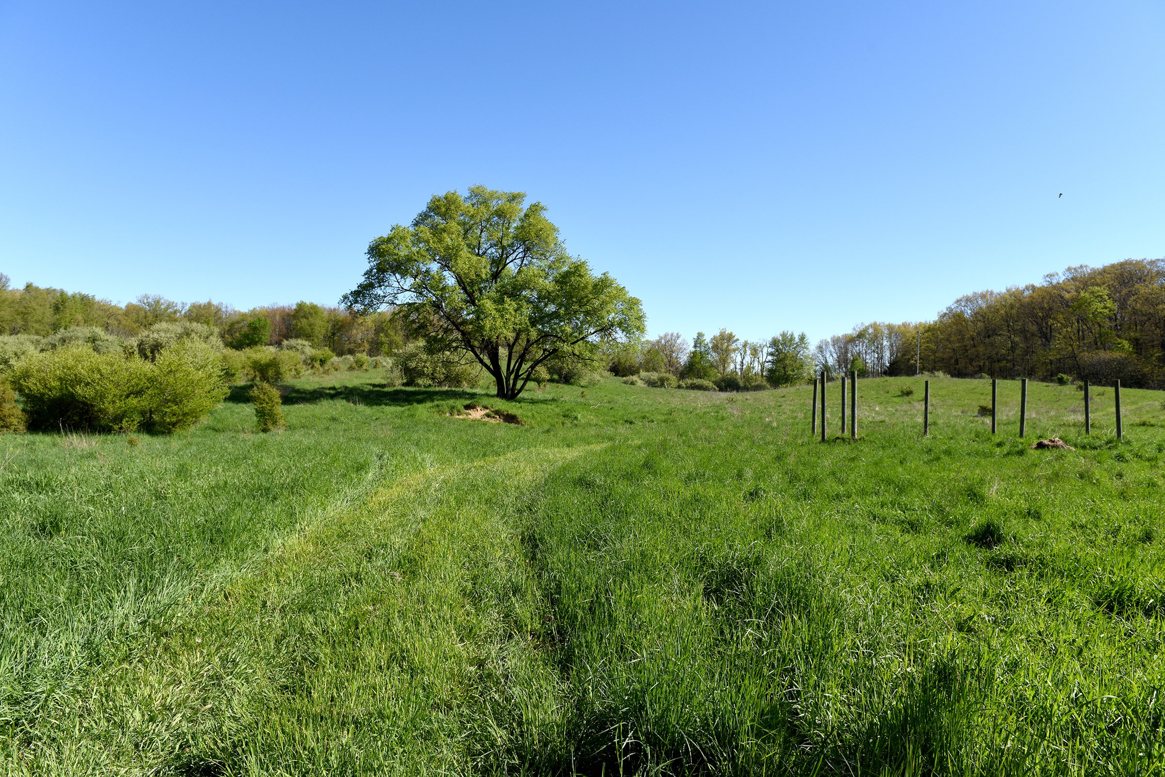 Property photo 33 - ONCE IN A LIFETIME OPPORTUNITY AUCTION - 183+/- ACRES IN 27 TRACTS IN BRANCH COUNTY, MICHIGAN