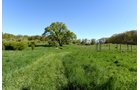 Property photo 33 - ONCE IN A LIFETIME OPPORTUNITY AUCTION - 183+/- ACRES IN 27 TRACTS IN BRANCH COUNTY, MICHIGAN