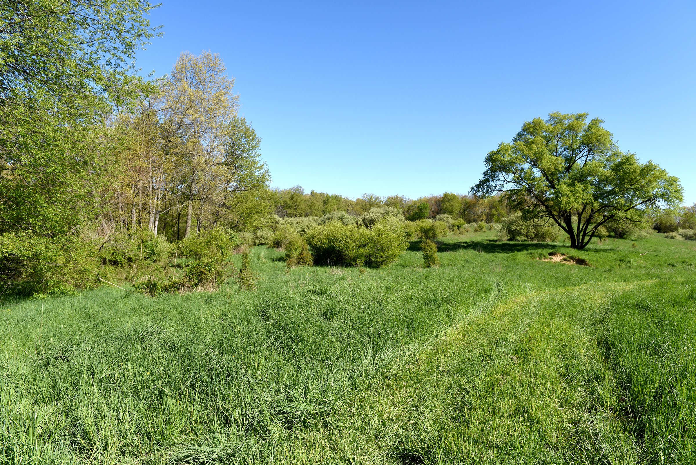 Property photo 35 - ONCE IN A LIFETIME OPPORTUNITY AUCTION - 183+/- ACRES IN 27 TRACTS IN BRANCH COUNTY, MICHIGAN