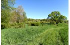 Property photo 35 - ONCE IN A LIFETIME OPPORTUNITY AUCTION - 183+/- ACRES IN 27 TRACTS IN BRANCH COUNTY, MICHIGAN
