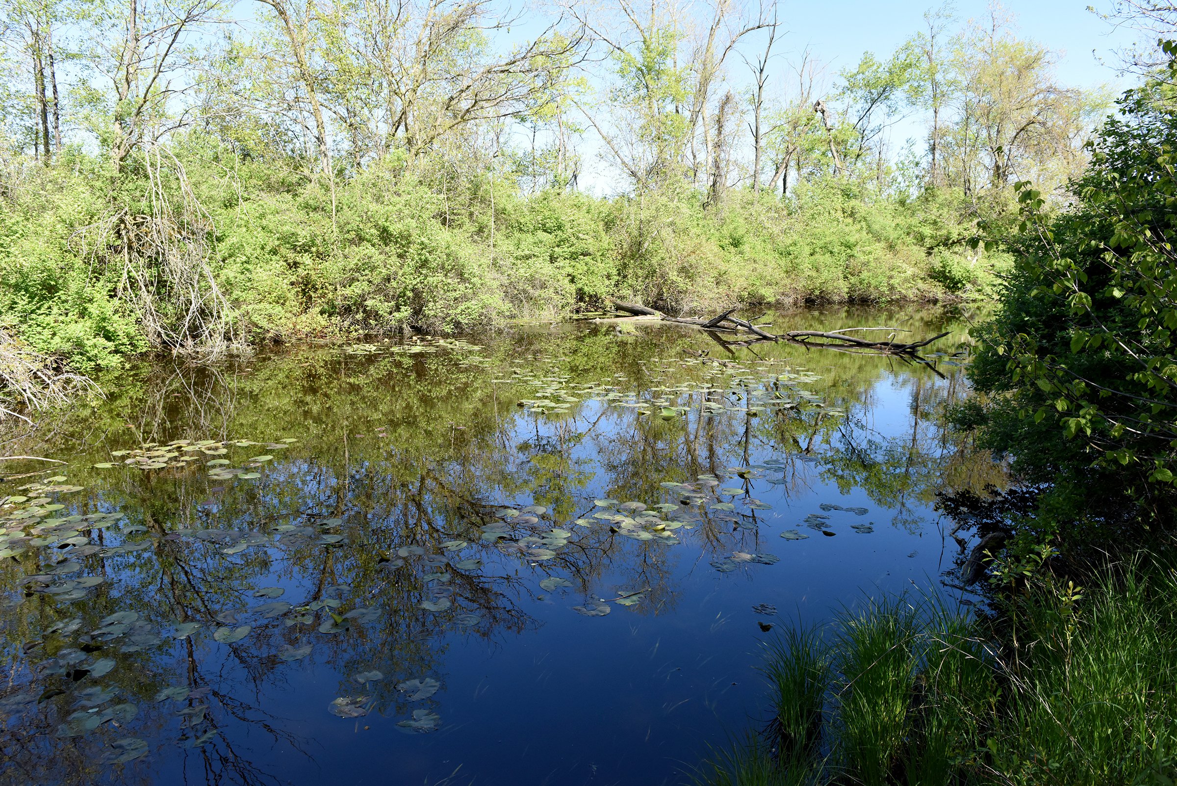 Property photo 30 - ONCE IN A LIFETIME OPPORTUNITY AUCTION - 183+/- ACRES IN 27 TRACTS IN BRANCH COUNTY, MICHIGAN