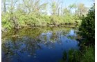 Property photo 30 - ONCE IN A LIFETIME OPPORTUNITY AUCTION - 183+/- ACRES IN 27 TRACTS IN BRANCH COUNTY, MICHIGAN