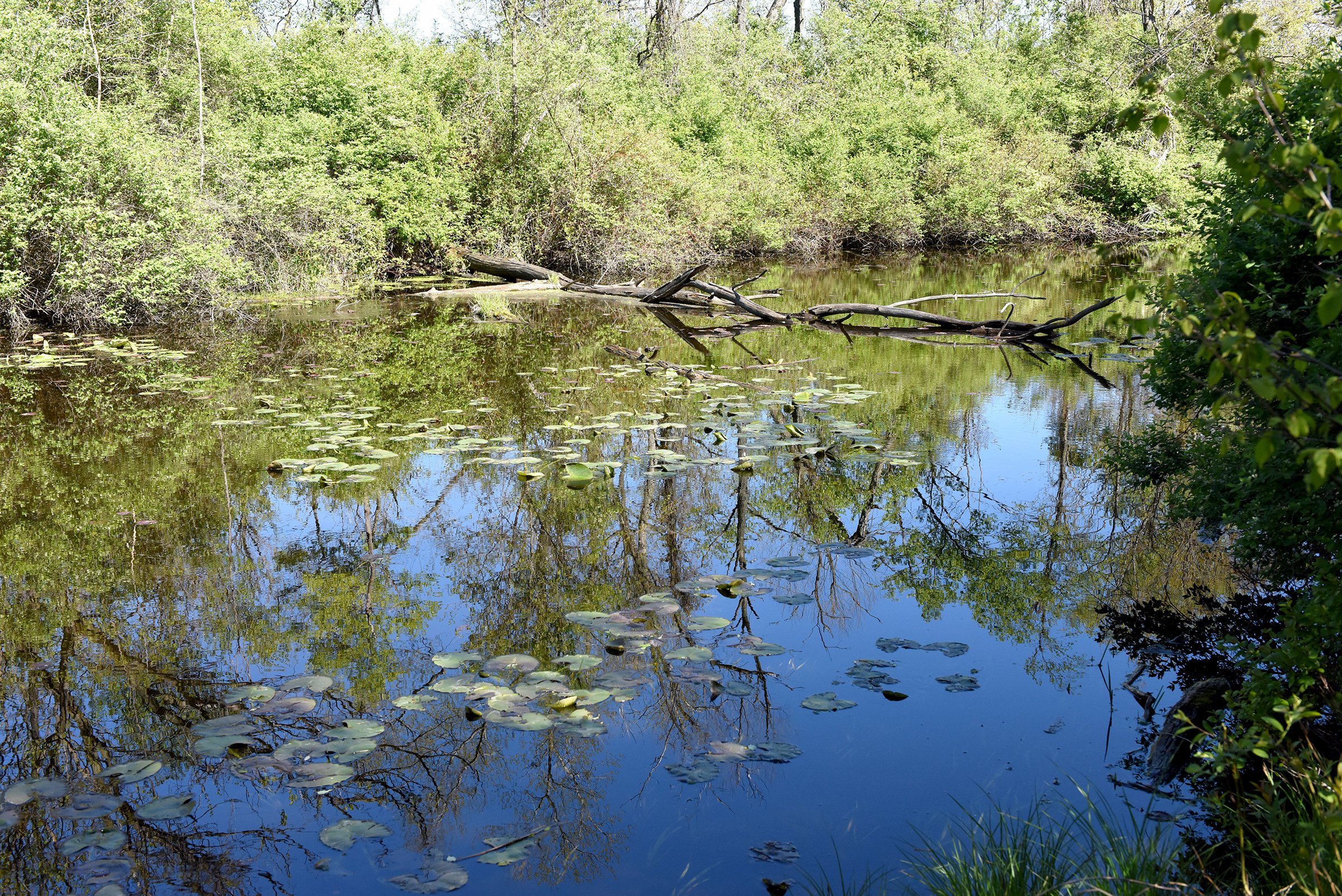 Property photo 28 - ONCE IN A LIFETIME OPPORTUNITY AUCTION - 183+/- ACRES IN 27 TRACTS IN BRANCH COUNTY, MICHIGAN