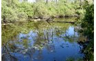 Property photo 28 - ONCE IN A LIFETIME OPPORTUNITY AUCTION - 183+/- ACRES IN 27 TRACTS IN BRANCH COUNTY, MICHIGAN