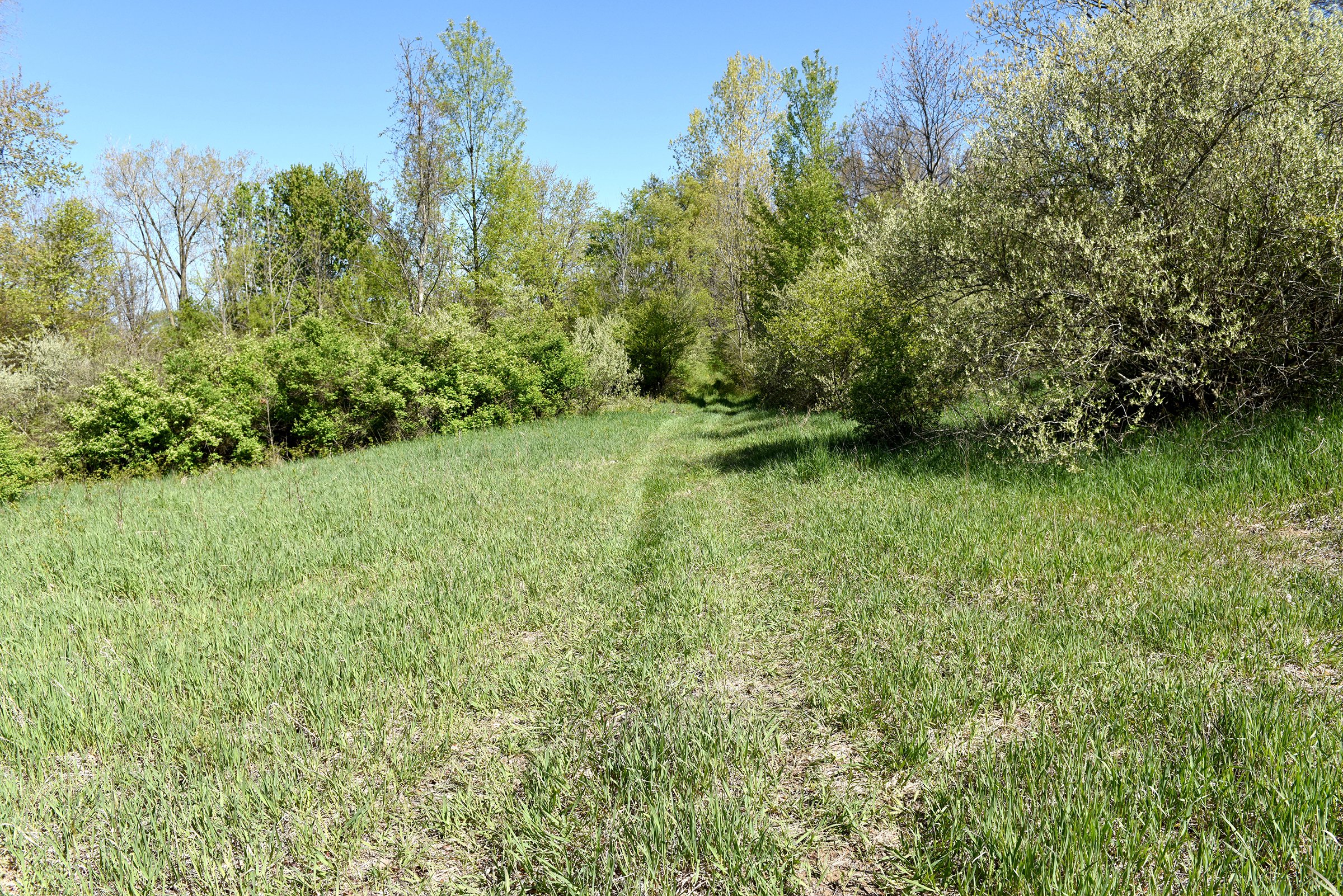 Property photo 42 - ONCE IN A LIFETIME OPPORTUNITY AUCTION - 183+/- ACRES IN 27 TRACTS IN BRANCH COUNTY, MICHIGAN