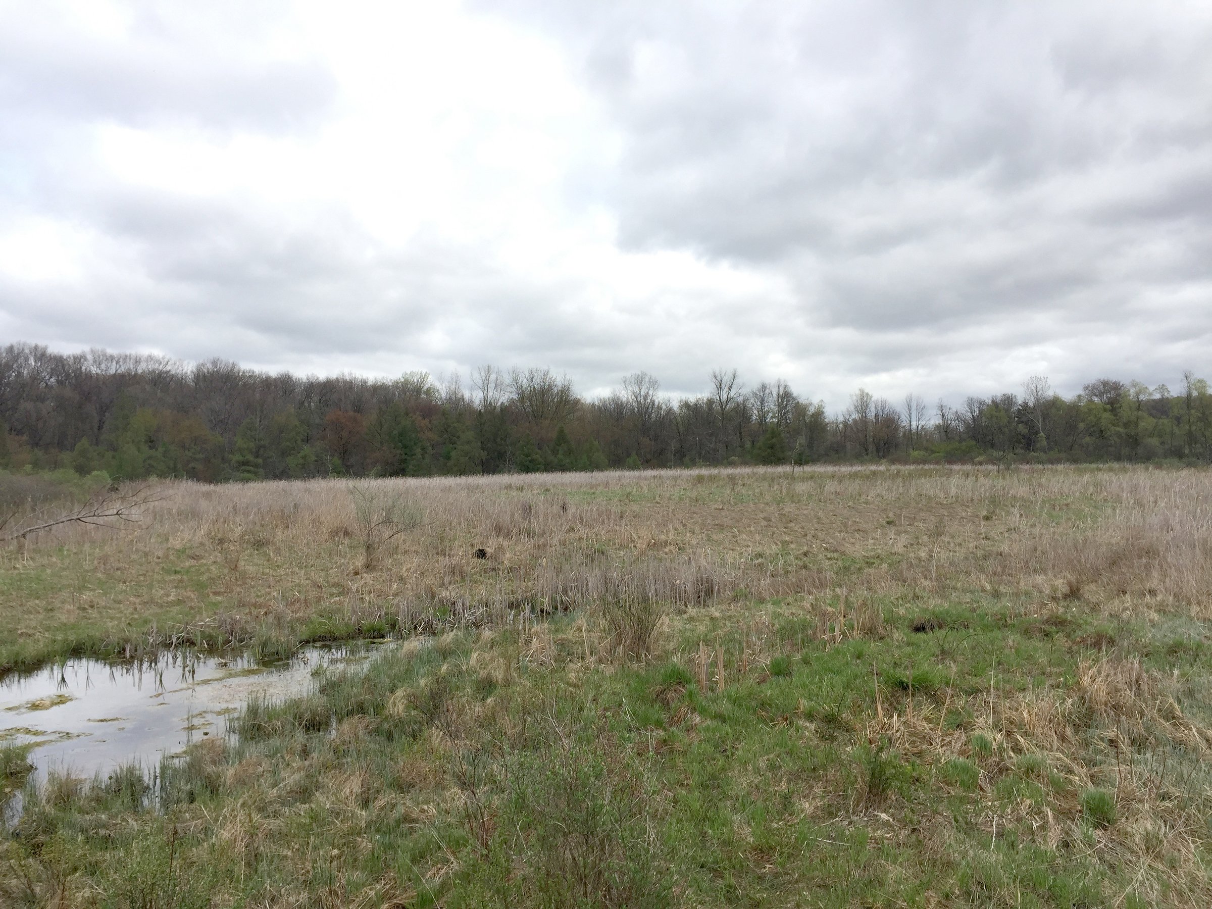 Property photo 94 - ONCE IN A LIFETIME OPPORTUNITY AUCTION - 183+/- ACRES IN 27 TRACTS IN BRANCH COUNTY, MICHIGAN