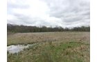 Property photo 94 - ONCE IN A LIFETIME OPPORTUNITY AUCTION - 183+/- ACRES IN 27 TRACTS IN BRANCH COUNTY, MICHIGAN