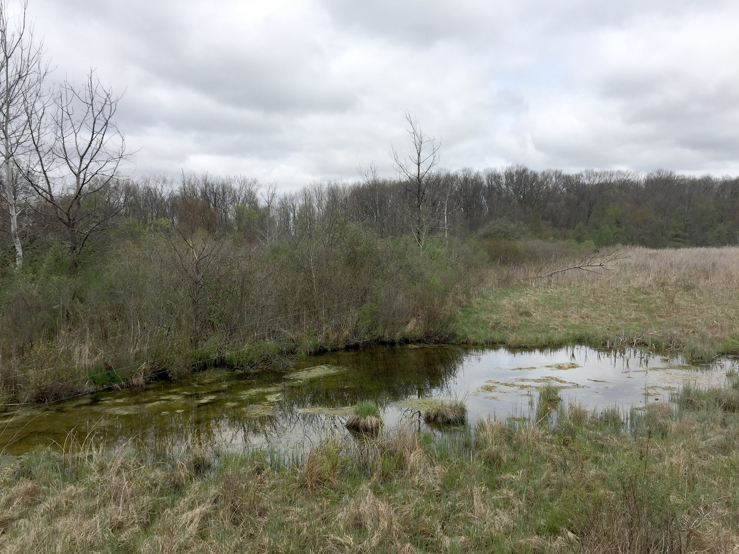 Property photo 65 - ONCE IN A LIFETIME OPPORTUNITY AUCTION - 183+/- ACRES IN 27 TRACTS IN BRANCH COUNTY, MICHIGAN