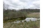 Property photo 65 - ONCE IN A LIFETIME OPPORTUNITY AUCTION - 183+/- ACRES IN 27 TRACTS IN BRANCH COUNTY, MICHIGAN