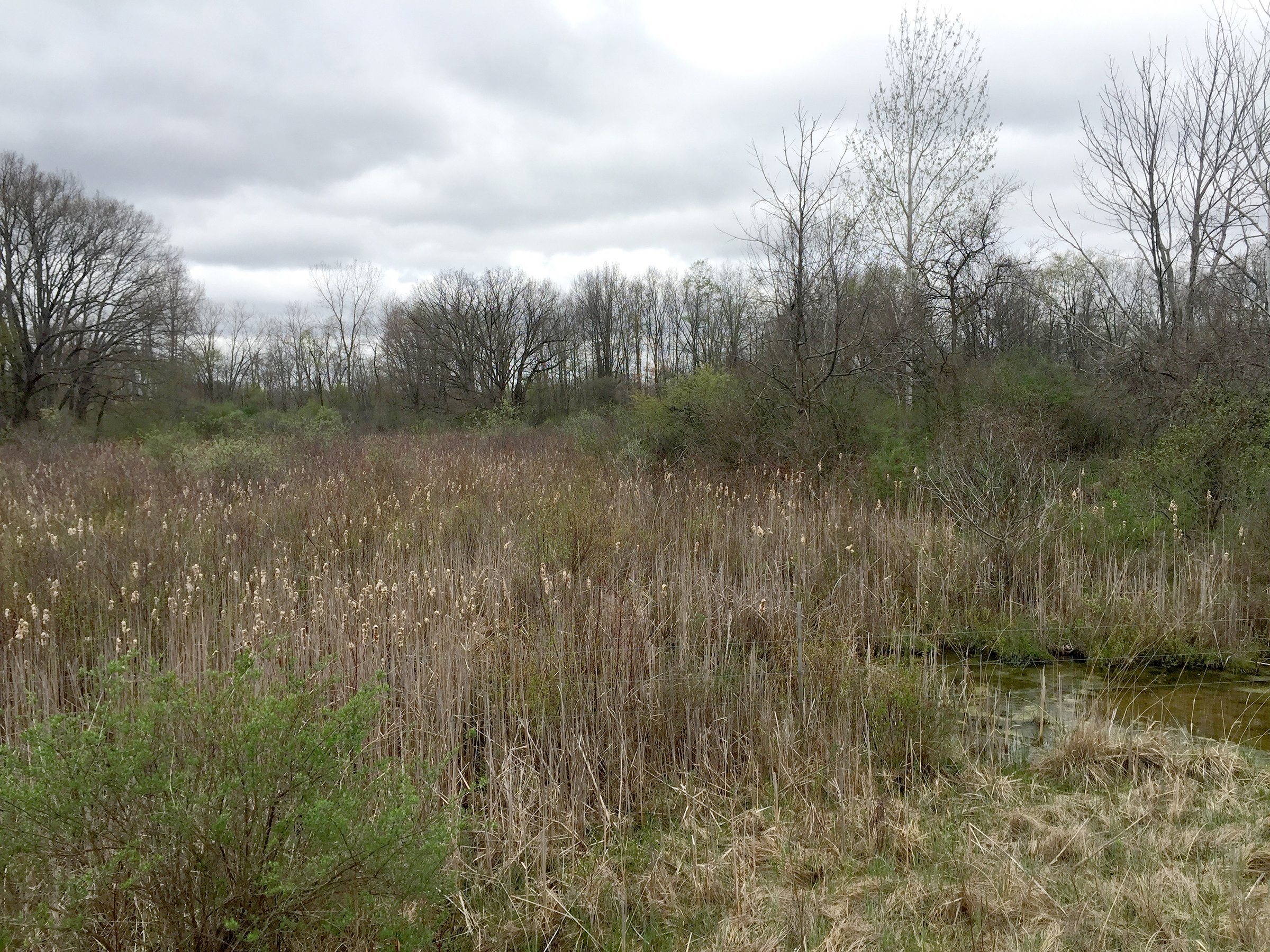 Property photo 67 - ONCE IN A LIFETIME OPPORTUNITY AUCTION - 183+/- ACRES IN 27 TRACTS IN BRANCH COUNTY, MICHIGAN