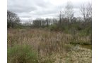 Property photo 67 - ONCE IN A LIFETIME OPPORTUNITY AUCTION - 183+/- ACRES IN 27 TRACTS IN BRANCH COUNTY, MICHIGAN