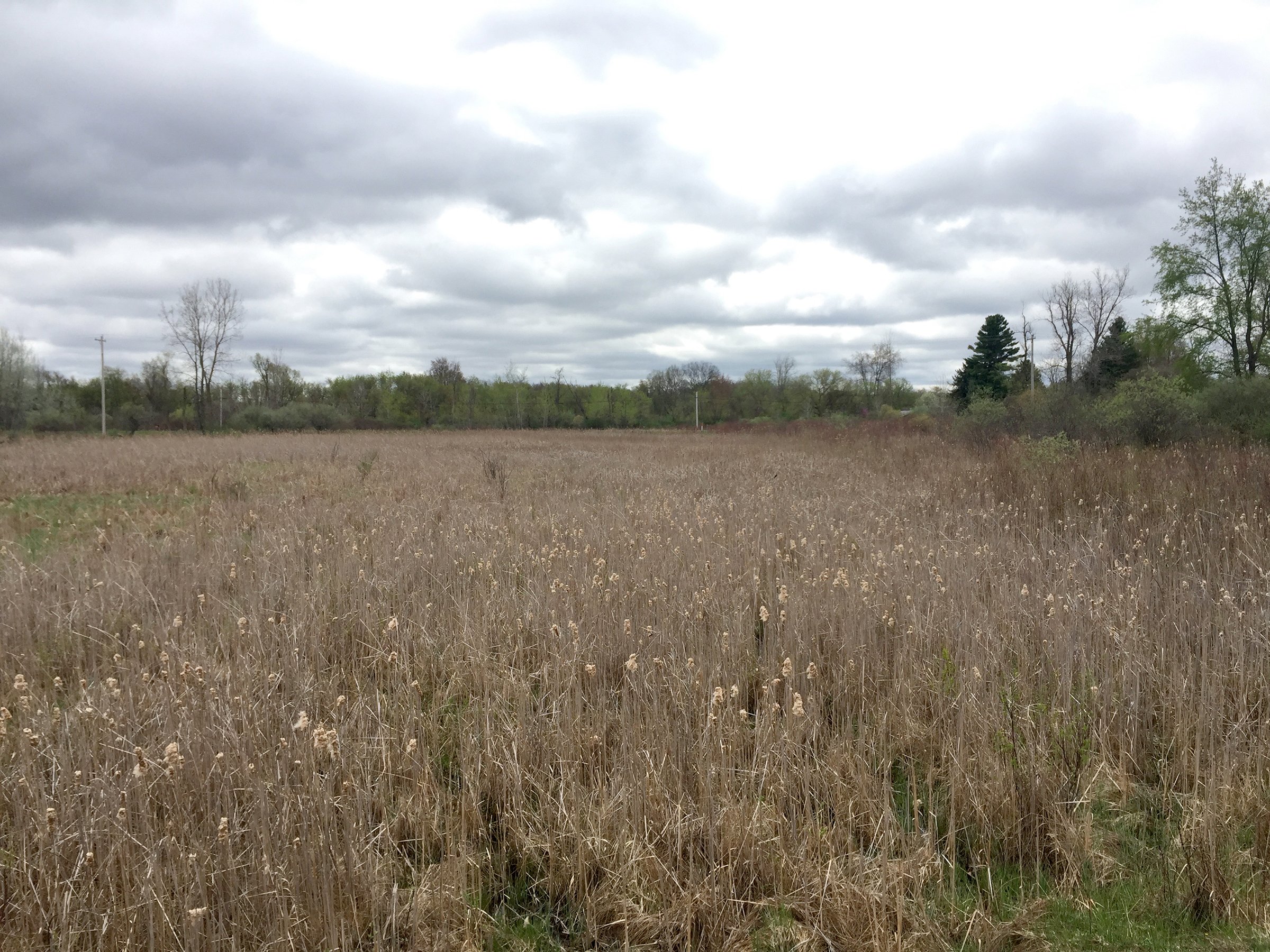 Property photo 76 - ONCE IN A LIFETIME OPPORTUNITY AUCTION - 183+/- ACRES IN 27 TRACTS IN BRANCH COUNTY, MICHIGAN