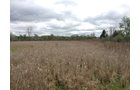 Property photo 76 - ONCE IN A LIFETIME OPPORTUNITY AUCTION - 183+/- ACRES IN 27 TRACTS IN BRANCH COUNTY, MICHIGAN