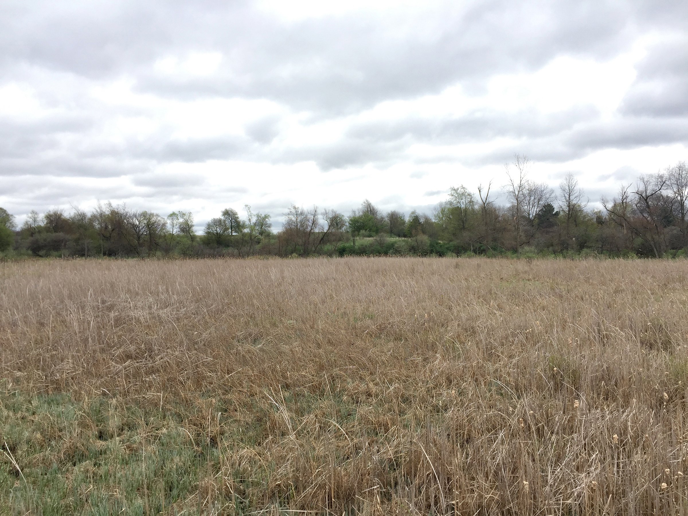 Property photo 91 - ONCE IN A LIFETIME OPPORTUNITY AUCTION - 183+/- ACRES IN 27 TRACTS IN BRANCH COUNTY, MICHIGAN
