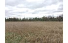 Property photo 91 - ONCE IN A LIFETIME OPPORTUNITY AUCTION - 183+/- ACRES IN 27 TRACTS IN BRANCH COUNTY, MICHIGAN