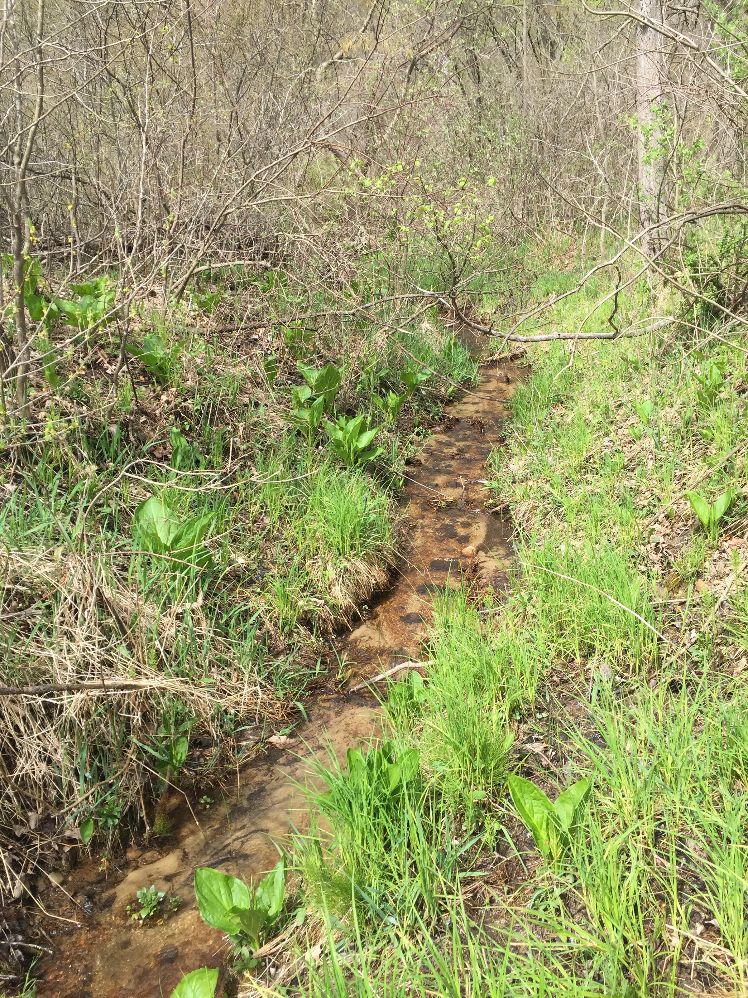 Property photo 72 - ONCE IN A LIFETIME OPPORTUNITY AUCTION - 183+/- ACRES IN 27 TRACTS IN BRANCH COUNTY, MICHIGAN