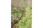 Property photo 72 - ONCE IN A LIFETIME OPPORTUNITY AUCTION - 183+/- ACRES IN 27 TRACTS IN BRANCH COUNTY, MICHIGAN