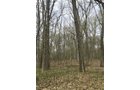 Property photo 96 - ONCE IN A LIFETIME OPPORTUNITY AUCTION - 183+/- ACRES IN 27 TRACTS IN BRANCH COUNTY, MICHIGAN