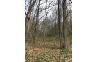 Property photo 69 - ONCE IN A LIFETIME OPPORTUNITY AUCTION - 183+/- ACRES IN 27 TRACTS IN BRANCH COUNTY, MICHIGAN