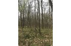 Property photo 84 - ONCE IN A LIFETIME OPPORTUNITY AUCTION - 183+/- ACRES IN 27 TRACTS IN BRANCH COUNTY, MICHIGAN