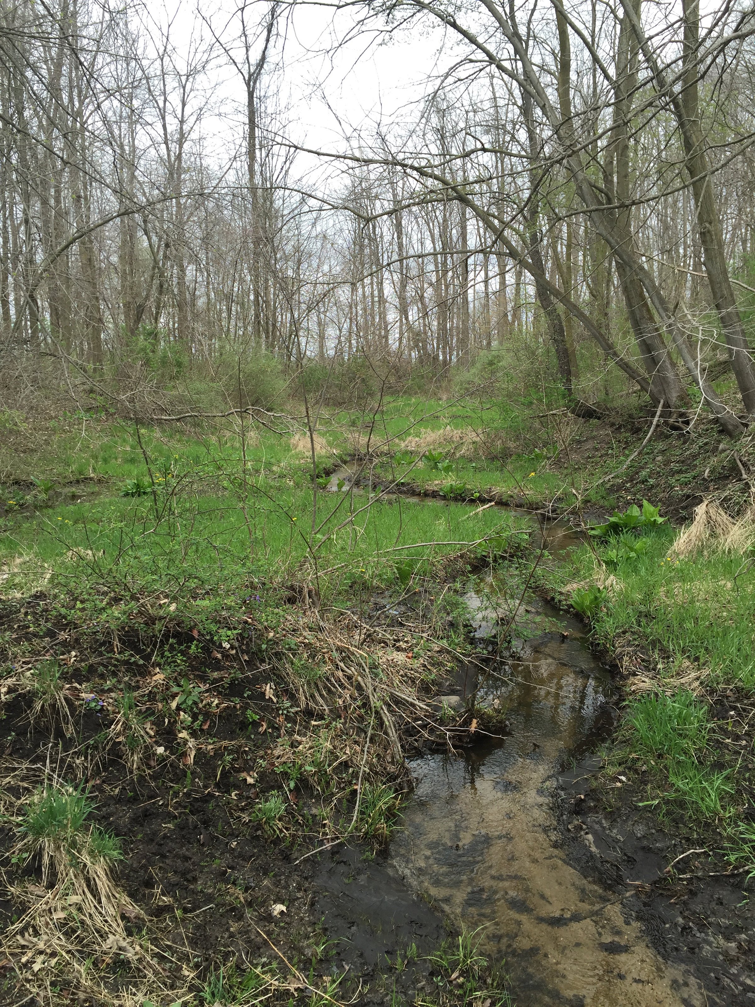 Property photo 83 - ONCE IN A LIFETIME OPPORTUNITY AUCTION - 183+/- ACRES IN 27 TRACTS IN BRANCH COUNTY, MICHIGAN