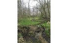 Property photo 83 - ONCE IN A LIFETIME OPPORTUNITY AUCTION - 183+/- ACRES IN 27 TRACTS IN BRANCH COUNTY, MICHIGAN